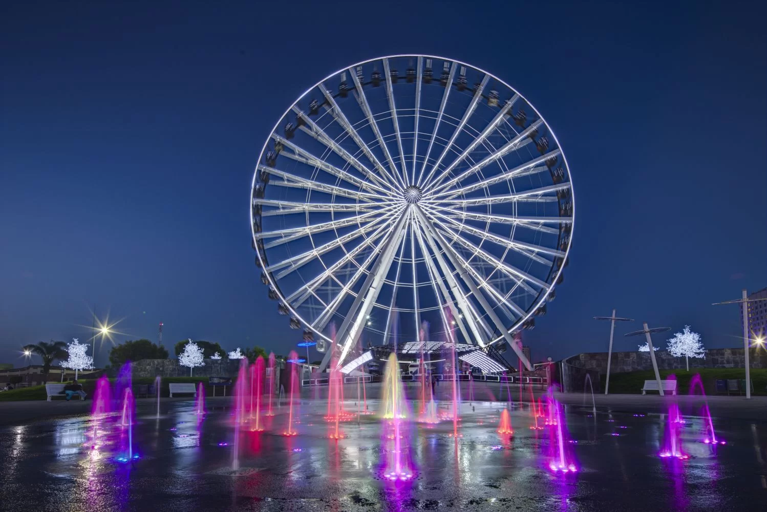 Ferris Wheel esdescon project photo